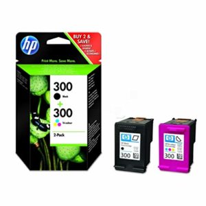 HP original - HP Druckerpatronen 300 - Hewlett Packard Envy 100 e-All-in-One (300 / CN637EE#301) - 2 x Druckkopf Multipack (schwarz, cyan, magenta, gelb)